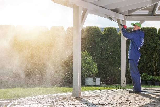 Best Boat and Dock Cleaning  in Woodstock, AL